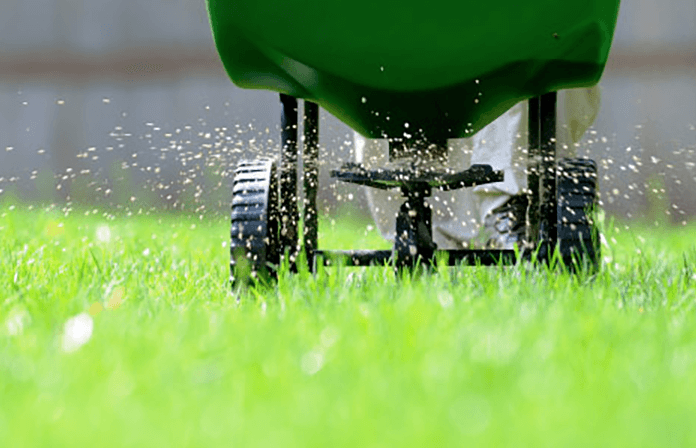Why Lawn Aeration Is One of the Most Important Services for Your Yard
