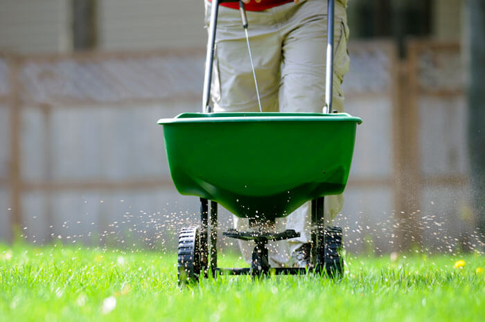 The Benefits of Professional Fertilization for North Carolina Lawns