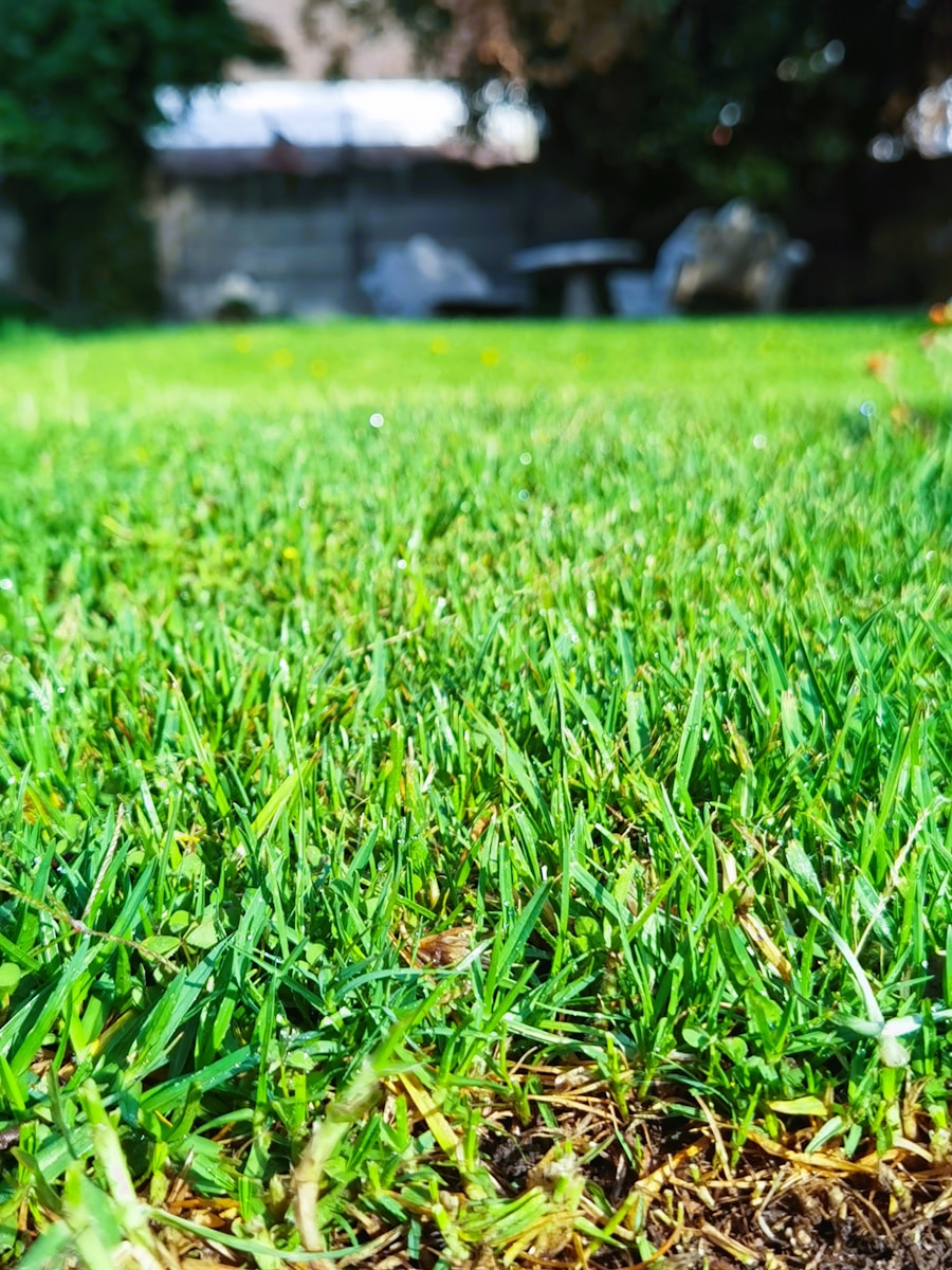 Why Professional Lawn Edging Makes a Big Difference in Your Landscape