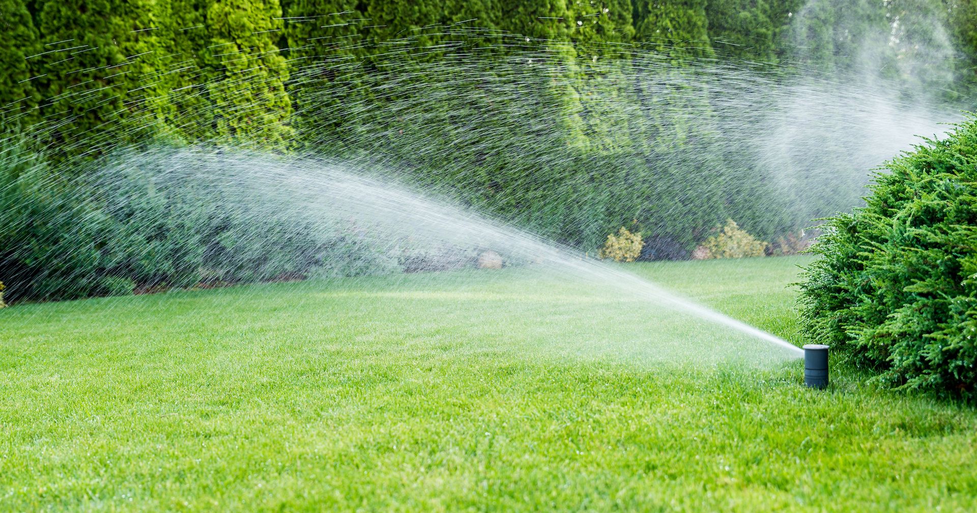 5 Signs Your Irrigation System Needs a Tune-Up